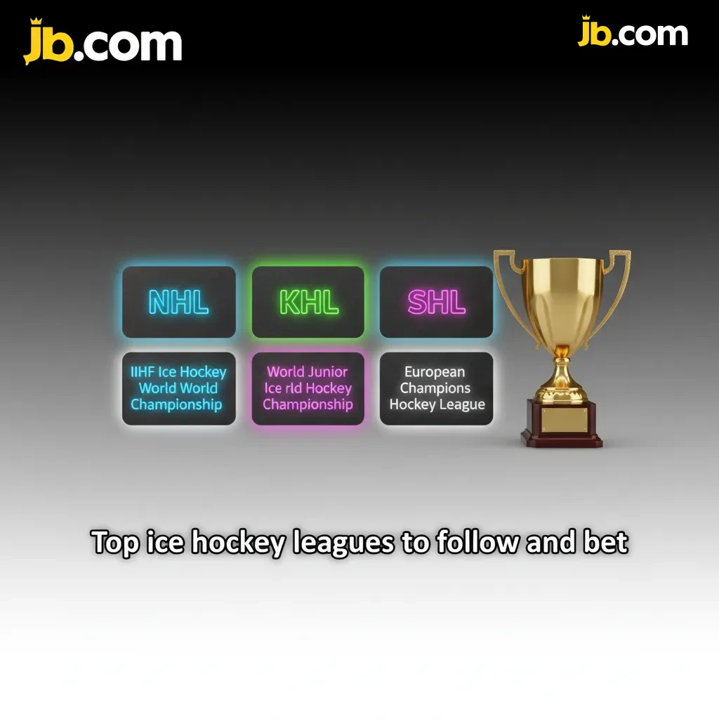 Top ice hockey leagues to follow: NHL, IIHF, CHL, SHL, Liiga, DEL, Swiss NL, with pre-match and live betting odds.
